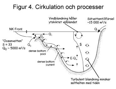 Figure 4: Important processes for the ciruculation of water.