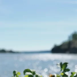 Bästa platserna att bada vid byfjorden